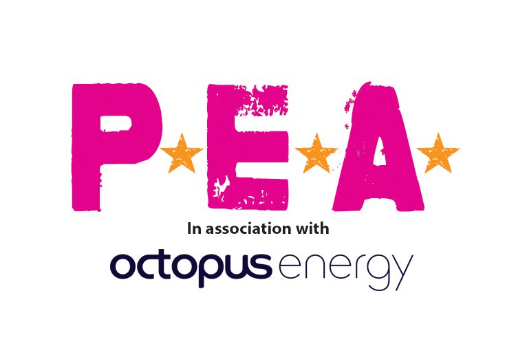 The P.E.A. Awards in Association with Octopus Energy