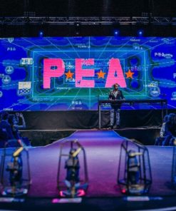 P.E.A. Awards 2019